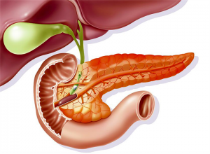 8 dấu hiệu cảnh báo bệnh viêm tụy cấp: Rất nguy hiểm nên bạn cần đi khám ngay - 1