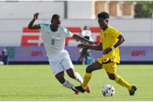 soi-keo-senegal-vs-guinea-20h-ngay-14-1-2022