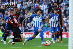 Soi kèo Bournemouth vs Brighton, 22h00 ngày 23/11